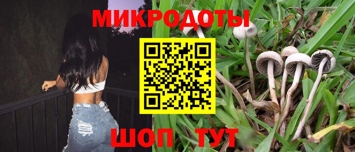 Галлюциногенные грибы MAGIC MUSHROOMS  Вход с VPN  Егорьевск 